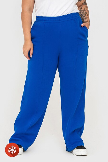 Утепленные брюки WENDI. Брюки, штаны. Цвет: синий. #3041036