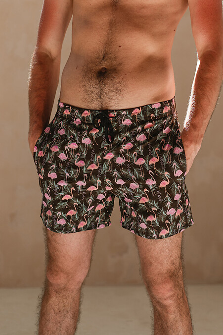 Плавательные шорты Flamingo. Шорты и бриджи. Цвет: черный. #8036052