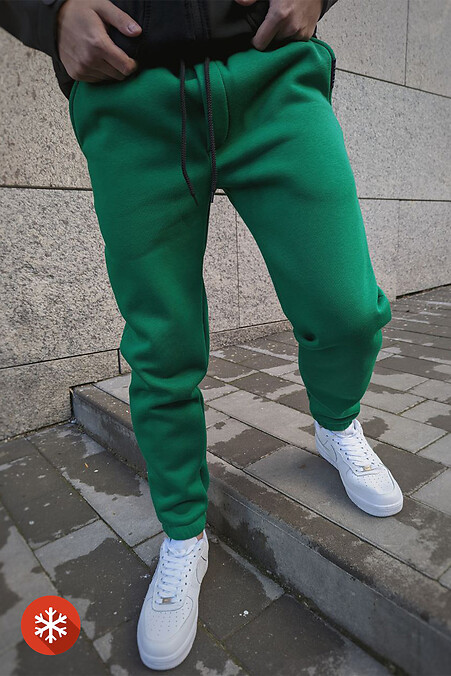 Мужские теплые спортивные штаны с начесом. Брюки, штаны. Цвет: зеленый. #8031209