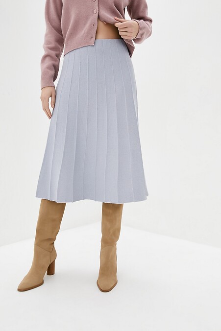 Women's winter skirt - #4038222
