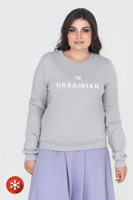 Теплый свитшот TODEY Im_ukrainian. Спортивная одежда. Цвет: серый. #9001257