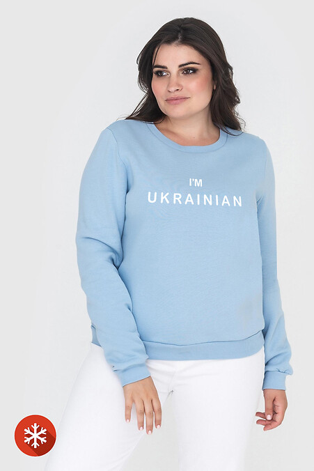 Теплый свитшот TODEY Im_ukrainian. Спортивная одежда. Цвет: синий. #9001262