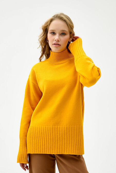 Свитер желтого цвета. Кофты и свитера. Цвет: желтый. #4038496