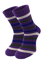 Смугасті шкарпетки кольорові Fioli M-SOCKS 2040033 фото №1