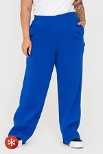 Утеплені прямі штани на флісі синього кольору Garne 3041036 фото №1