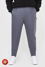 Утепленные зауженные штаны на флисе серого цвета Garne 3041058 фото №1