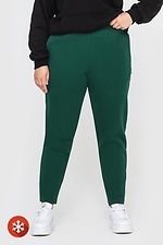 Утепленные зауженные штаны на флисе зеленого цвета Garne 3041060 фото №1