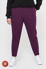 Утеплені завужені штани на флісі фіолетового кольору Garne 3041061 фото №1