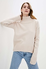 Зимовий жіночий светр  4038108 фото №1