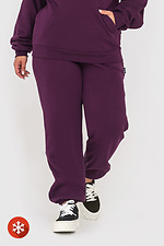 Утеплені штани на резинці фіолетового кольору Garne 3041408 фото №1