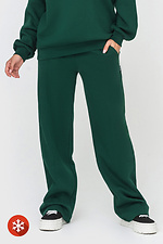 Утепленные прямые штаны на флисе зеленого цвета Garne 3041420 фото №1