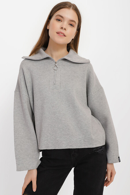Pullover für Damen. Jacken und Pullover. Farbe: grau. #3400000