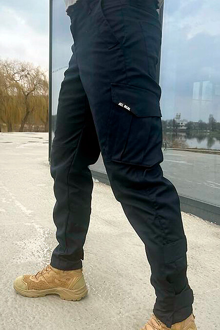 Штани Street Warrior темно-сині. Штани. Колір: синій. #8042029