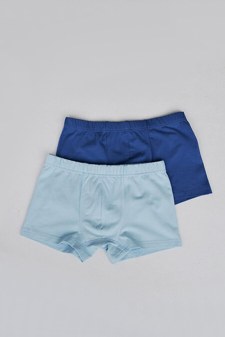 Set of basic underwear "Navy+Blue". Underpants. Color: blue. #8036046
