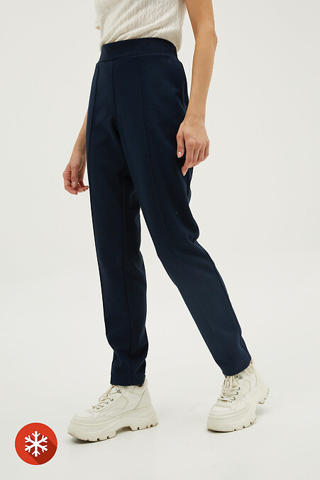 Trousers AYNA. Trousers, pants. Color: blue. #3039085