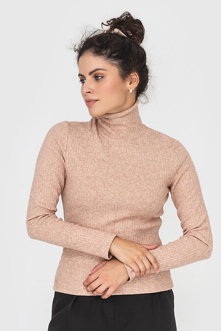 Golf DANNA. Turtlenecks, long sleeve. Color: beige. #3041095