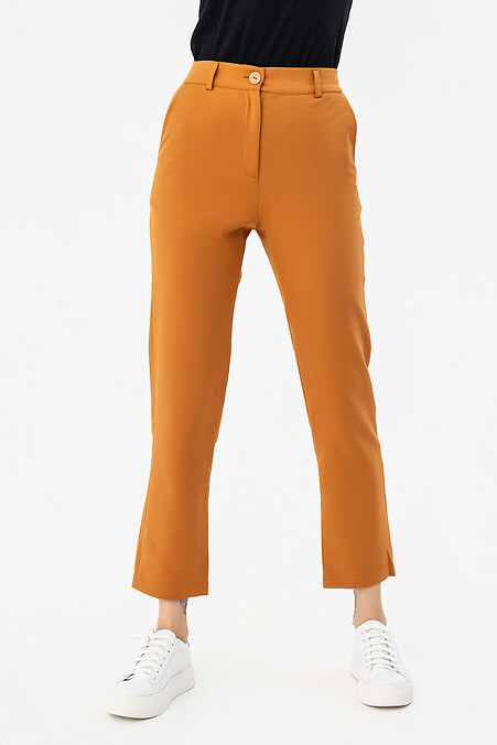 SONA trousers. Trousers, pants. Color: brown. #3042119