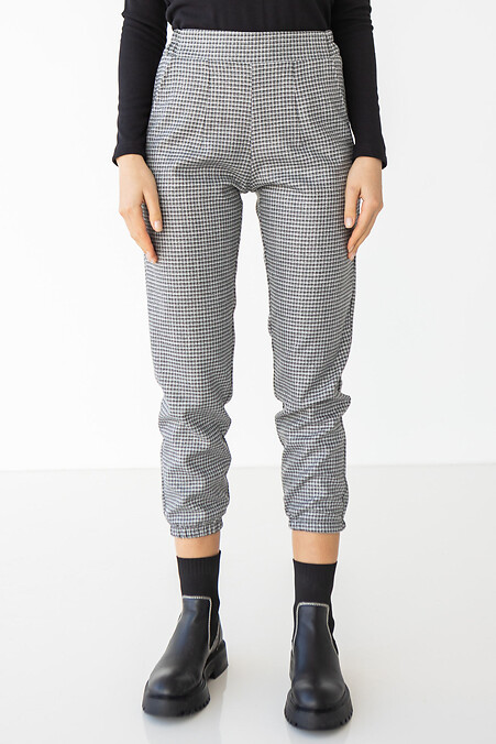 Trousers NOEL. Trousers, pants. Color: gray. #3036124