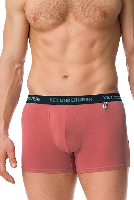 Male underwear. Underpants. Color: red. #2026138