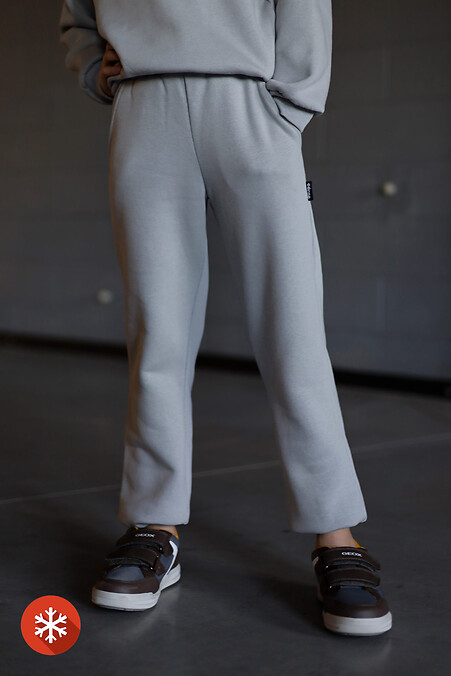 Pants BLER. Trousers, pants. Color: gray. #7770178