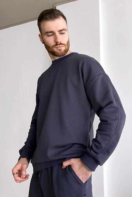 Men's sweatshirt TM Base Petlia 23 Ash. Sweatshirts, sweatshirts. Color: gray. #8034185
