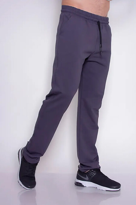 Men's Sweatpants Simple Straight Big 2 Ash. Trousers, pants. Color: gray. #8034189