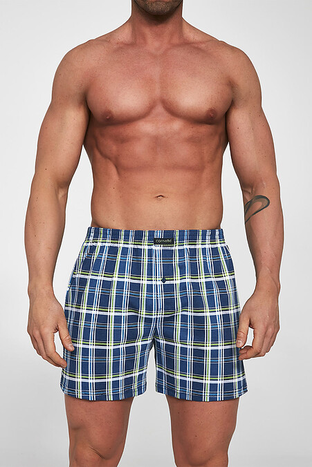 Männliche Unterwäsche. Unterhose. Farbe: blau. #2026193