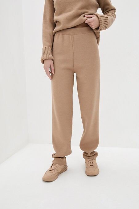 Зимние брюки женские. Брюки, штаны. Цвет: коричневый. #4038212