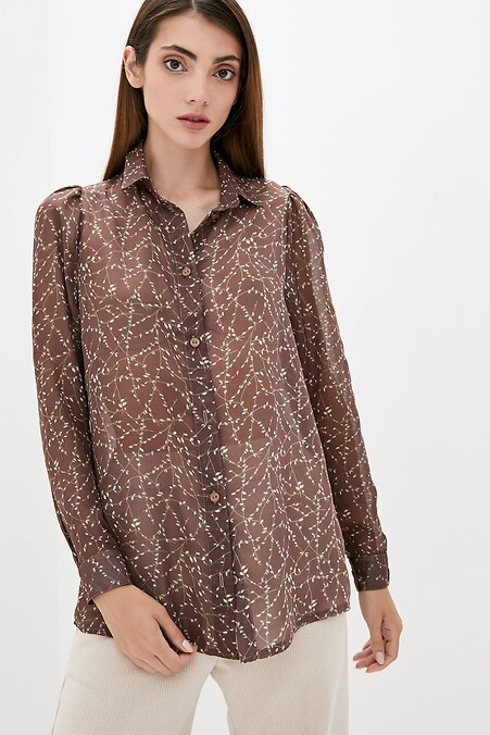 Blouse ANORA. Blouses, shirts. Color: brown. #3038220