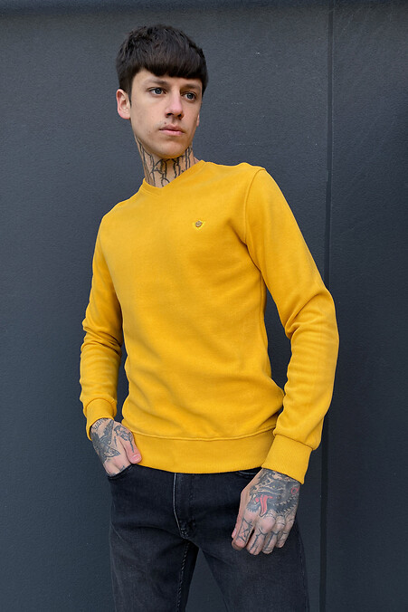 Мужской свитшот. Кофты и свитера. Цвет: желтый. #4009259