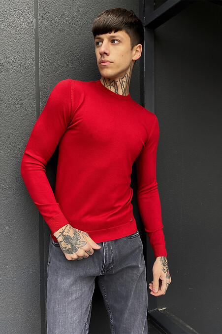 Мужской свитшот. Кофты и свитера. Цвет: красный. #4009272