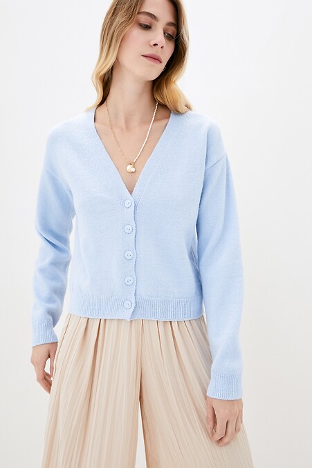 Weibliche Strickjacke. Jacken und Pullover. Farbe: blau. #4038303