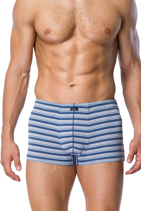 Men's briefs. Underpants. Color: blue. #2026328
