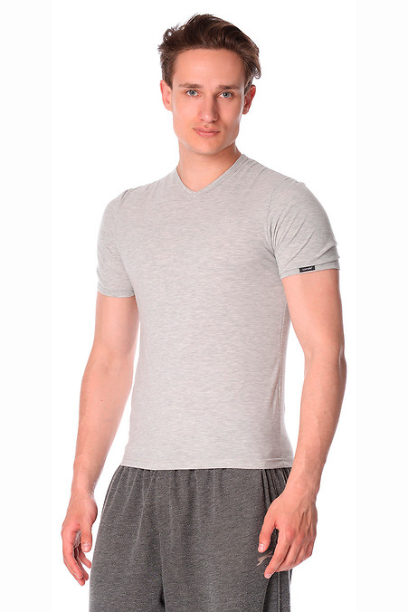 Männer T-Shirt. T-Shirts. Farbe: grau. #2021384