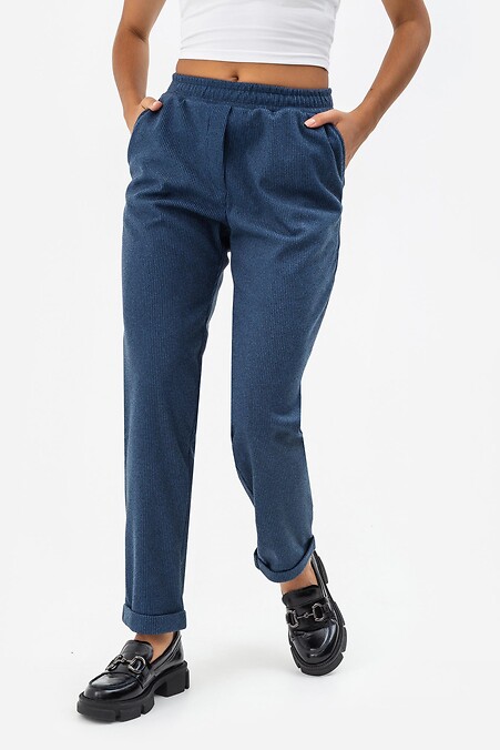 Trousers DENDI-1. Trousers, pants. Color: blue. #3041394