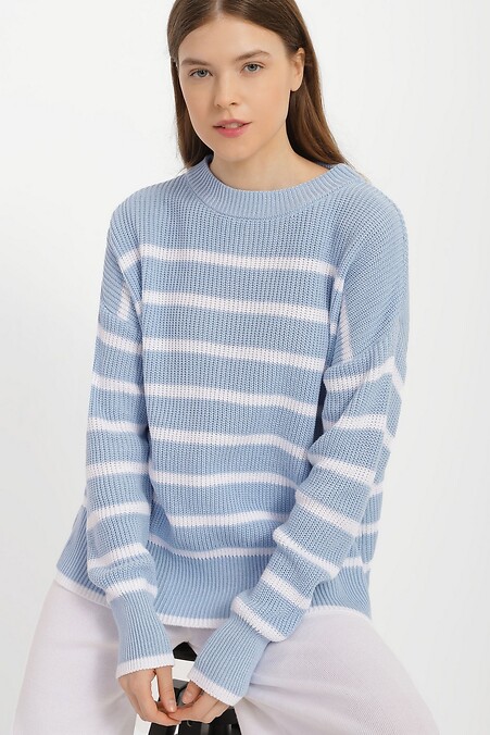 Women's jumper. Jackets and sweaters. Color: blue. #4038482