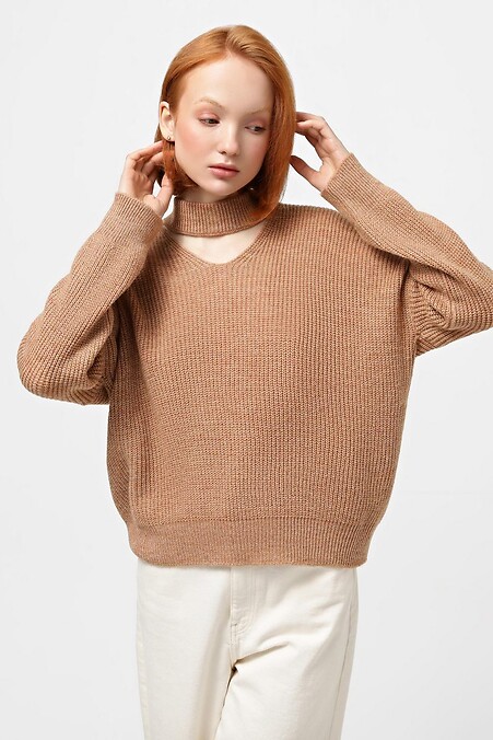 Jasnobrązowy sweter. Kurtki i swetry. Kolor: brązowy. #4038506