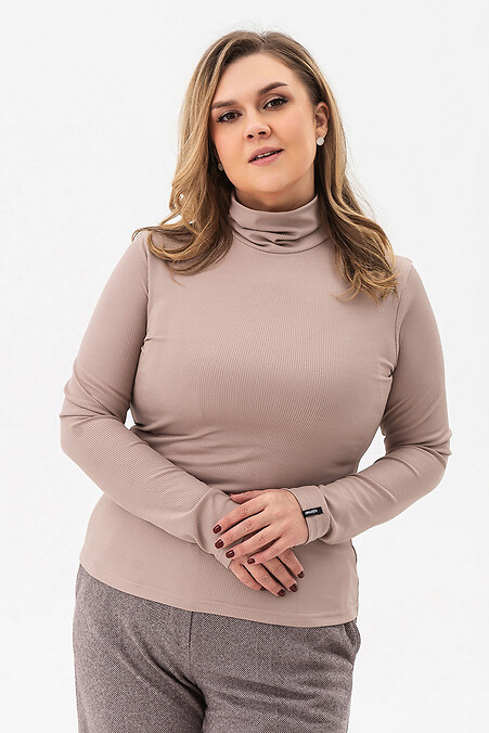 Golfführer. Rollkragenpullover, lange Ärmel. Farbe: beige. #3042519