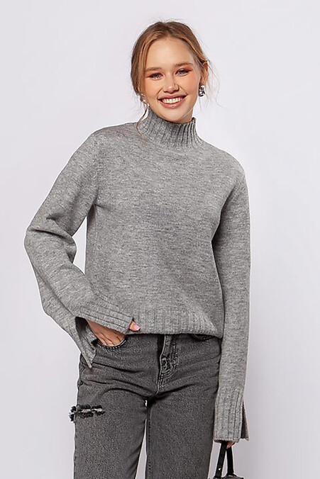 Grauer Pullover. Jacken und Pullover. Farbe: grau. #4038523