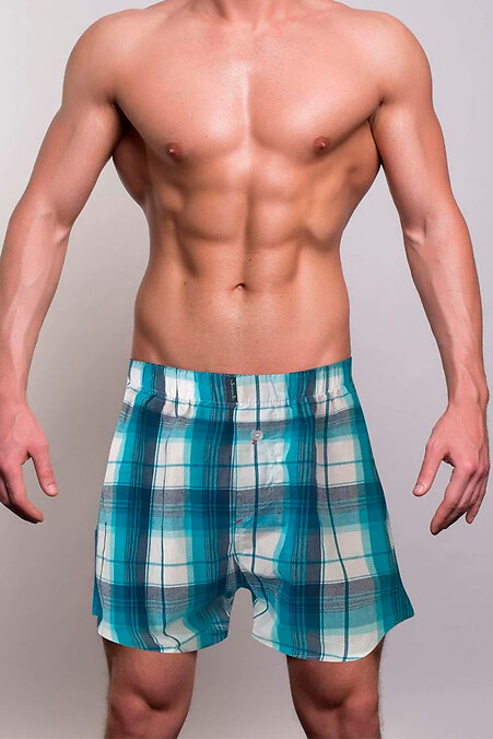 Male underwear. Underpants. Color: multicolor. #4025526