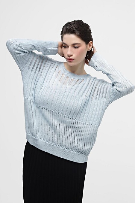 Blauer Pullover. Jacken und Pullover. Farbe: blau. #4038529
