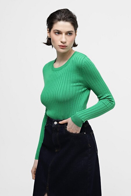 Джемпер зеленого цвета. Кофты и свитера. Цвет: зеленый. #4038545