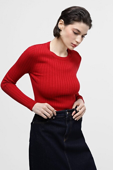 Джемпер красного цвета. Кофты и свитера. Цвет: красный. #4038546