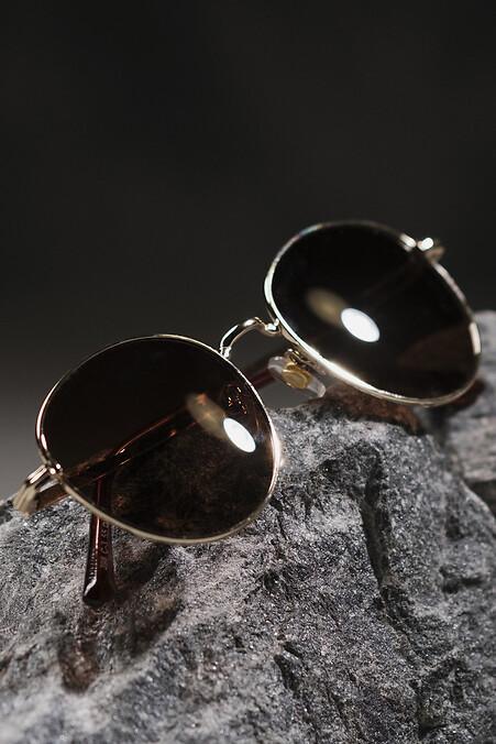 Polarized Sunglasses Pilot Gold - #8049578