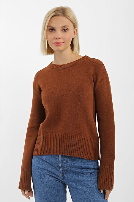 Women's light brown jumper. Jackets and sweaters. Color: brown. #4038593