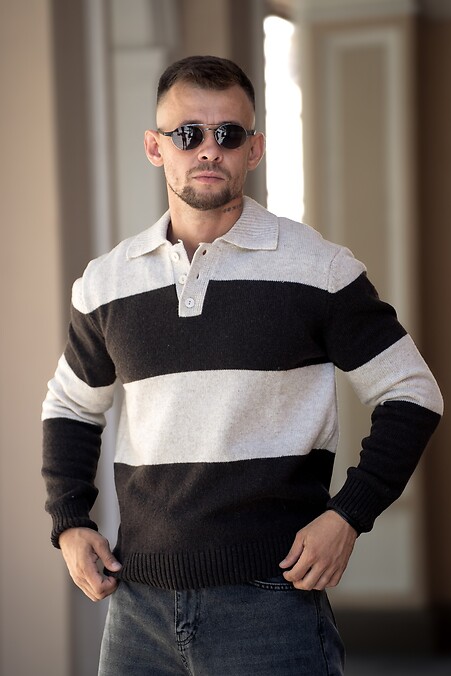 Чоловічий светр поло у смужку Polo Sweater бежевий з коричневим - #8034593