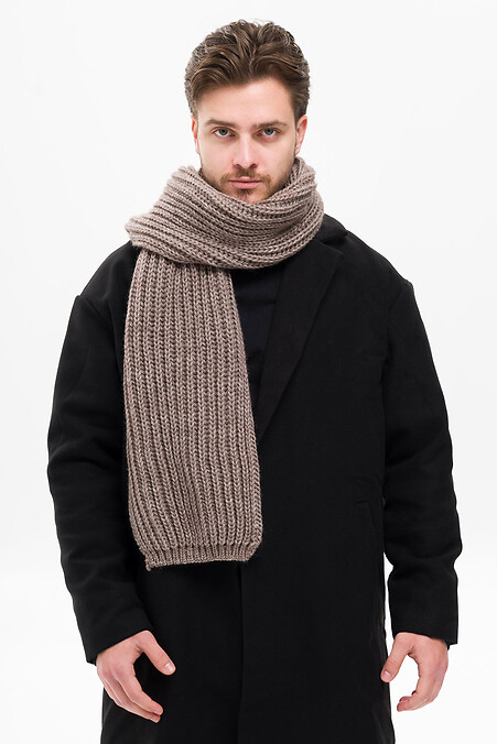 Мужской теплый вязаный шарф Carry Brown. Шарфы. Цвет: коричневый. #8055916