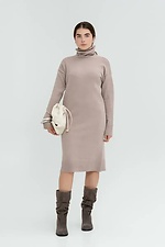 Dark beige dress Sewel 4039005 photo №1