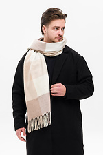 Мужской Шарф В Клеточку Terner Beige Without 8056005 фото №1
