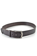 Brown leather belt narrow with metal buckle  8046007 photo №1